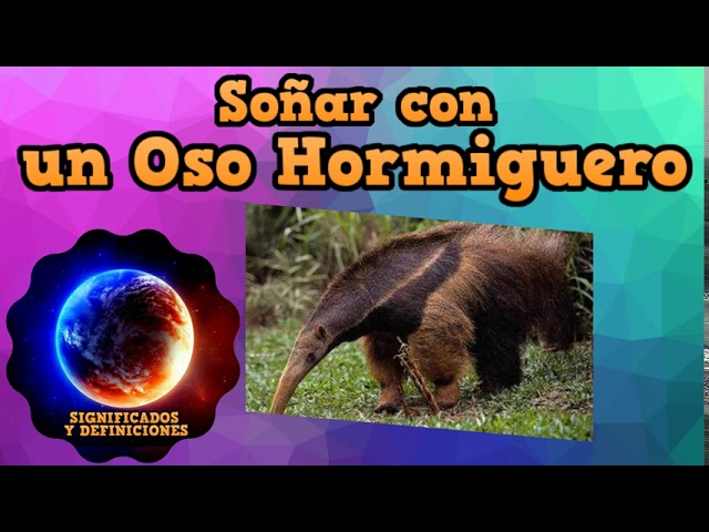 un oso hormiguero significado y simbolismo