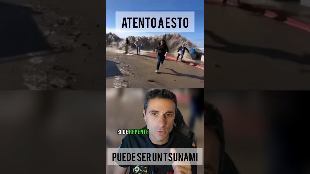 un tsunami y salir ileso una experiencia de supervivencia en suenos
