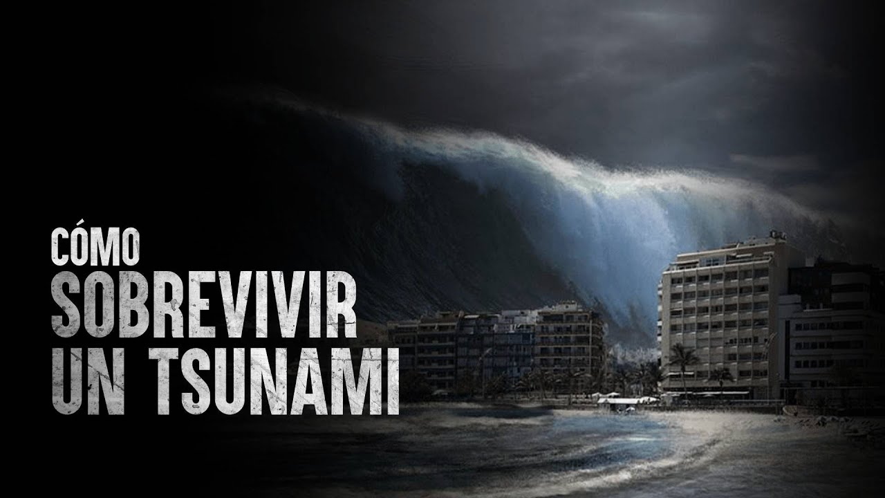 un tsunami y salvarse una experiencia de supervivencia inolvidable