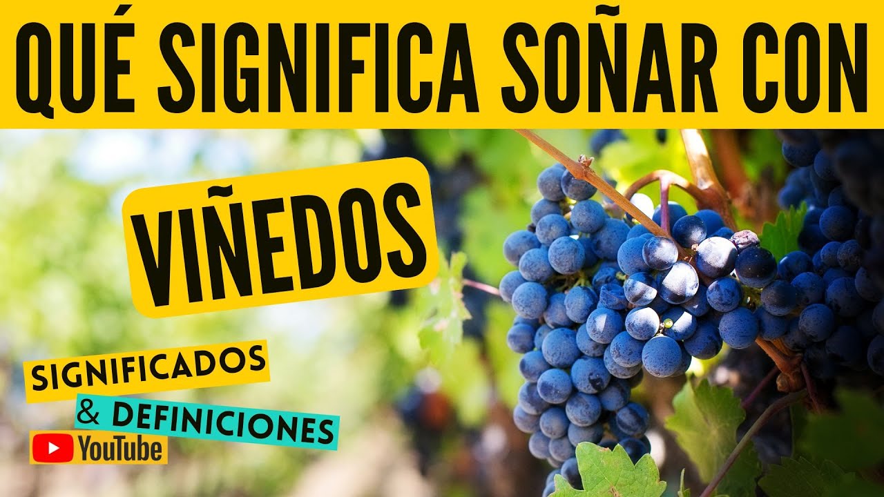 un vinedo que significa este sueno