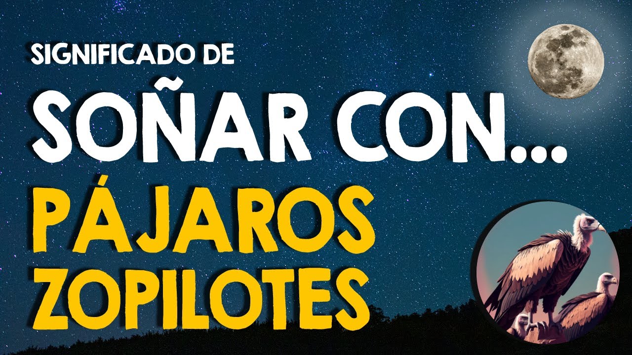 un zopilote negro que significa este sueno
