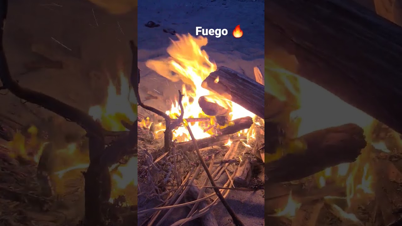 una fogata magica en la playa