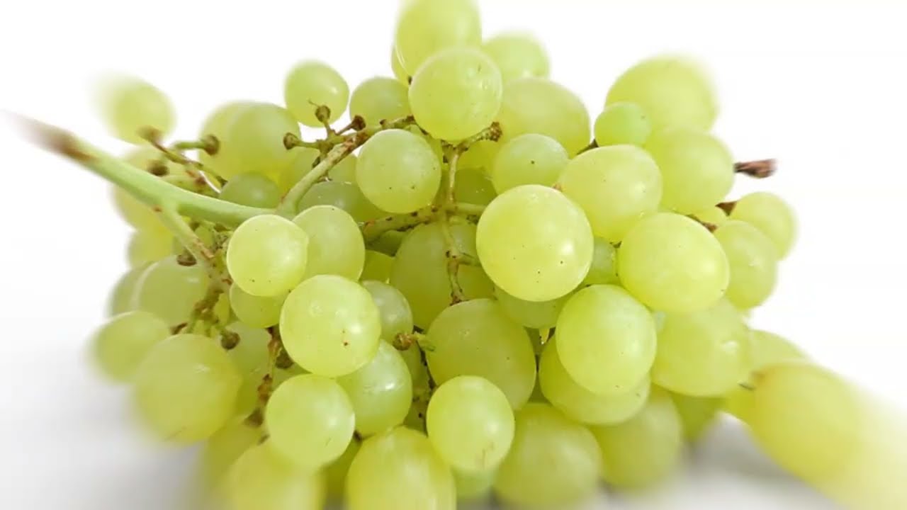 uvas verdes grandes interpretacion y significado