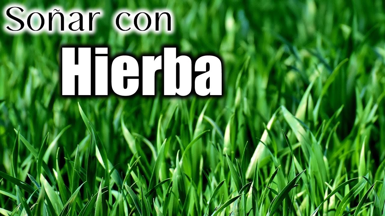 yerba que significa este sueno y cual es su simbolismo