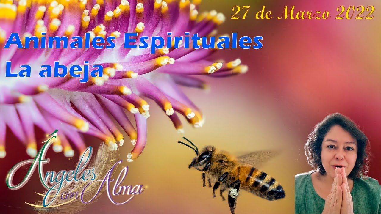 abejas segun la biblia significado y simbolismo