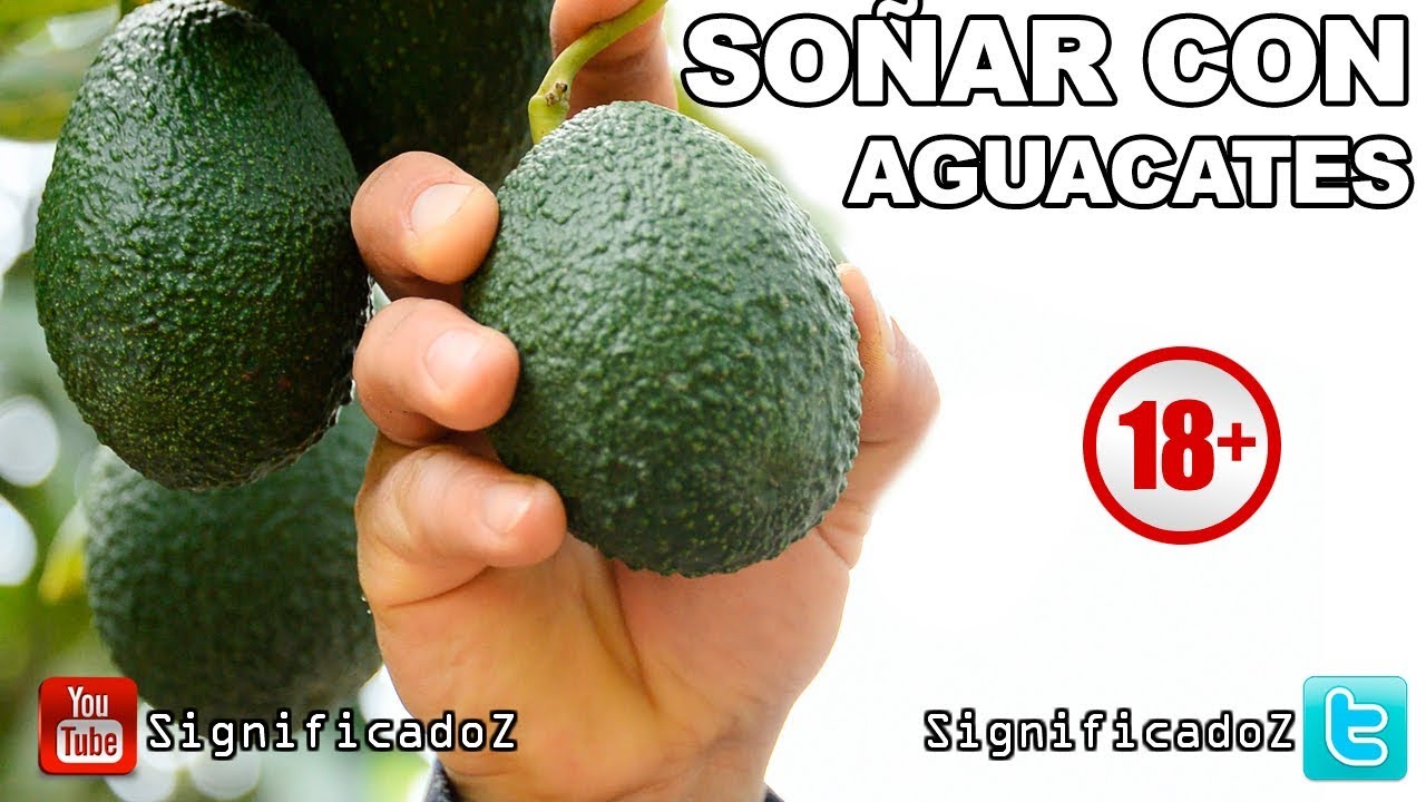 aguacates que significado tiene este sueno