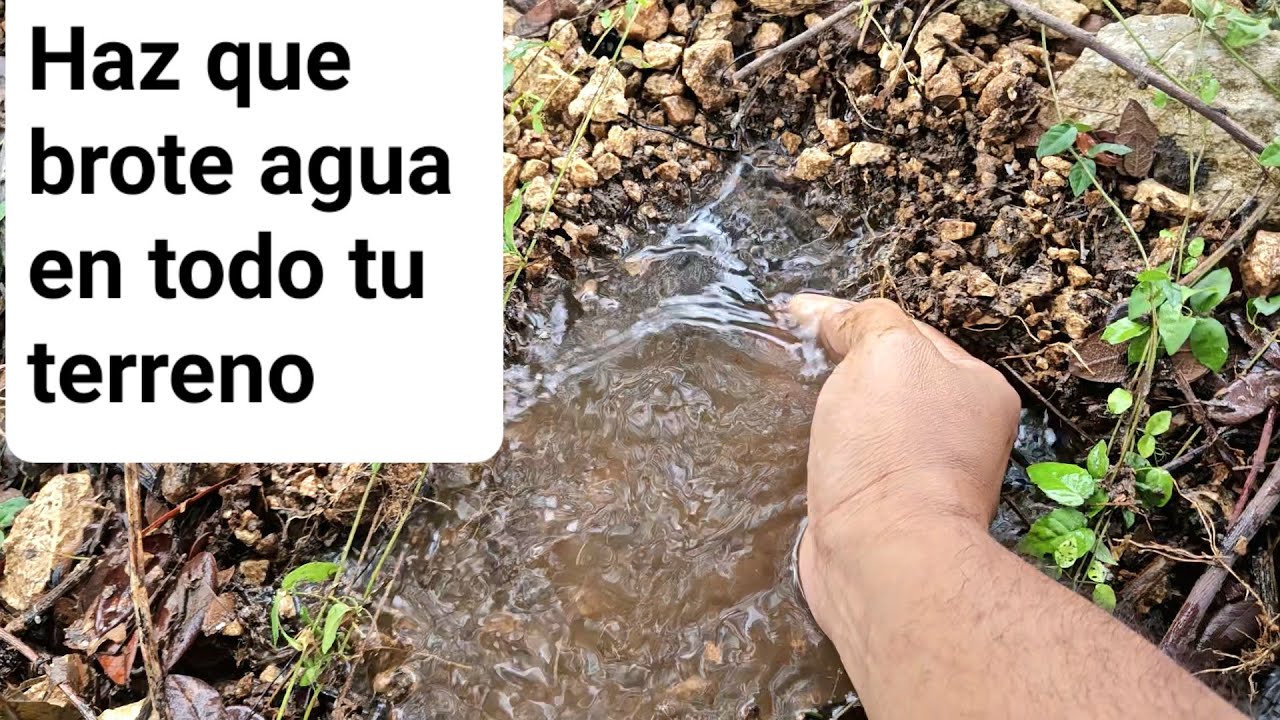 el nacimiento de agua una senal de renovacion y crecimiento