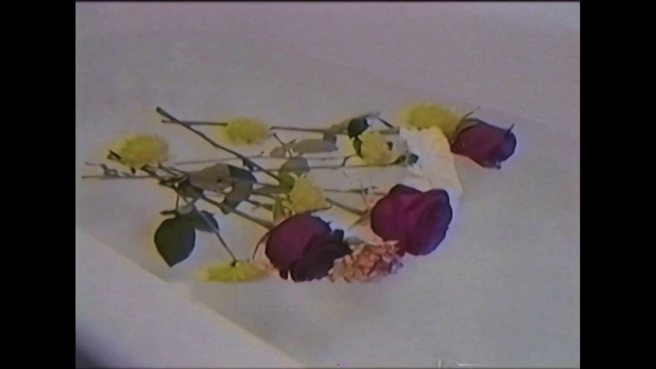 flores flotando sobre el agua