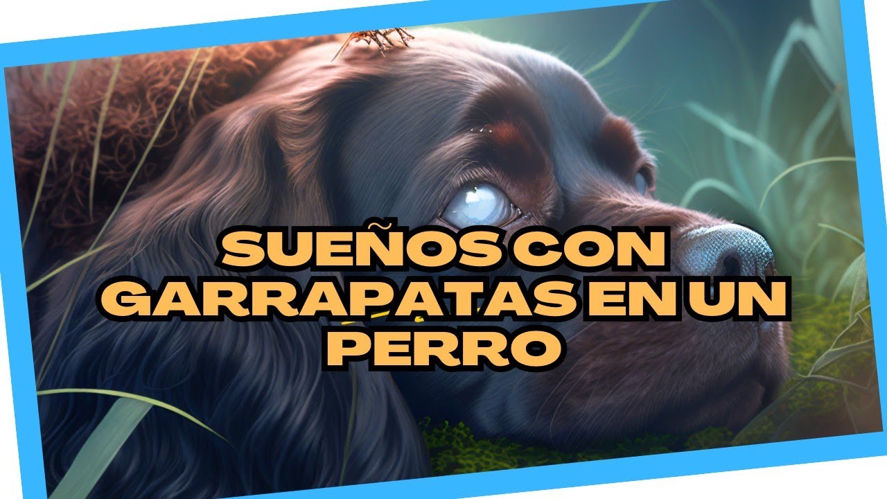 garrapatas en un perro que significa este sueno