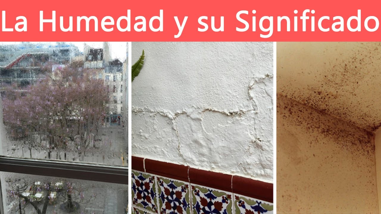 goteras en el techo del dormitorio un aviso de problemas emocionales