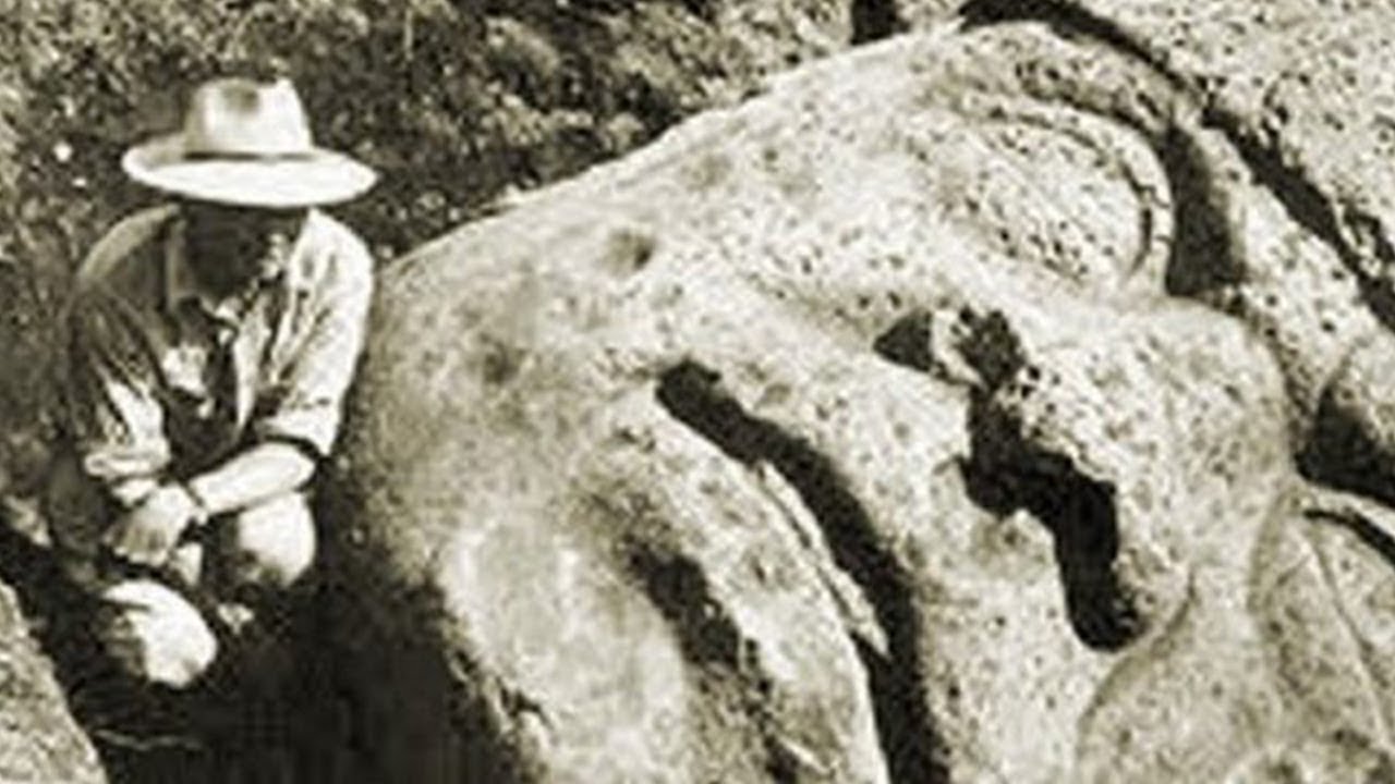 la misteriosa cabeza olmeca