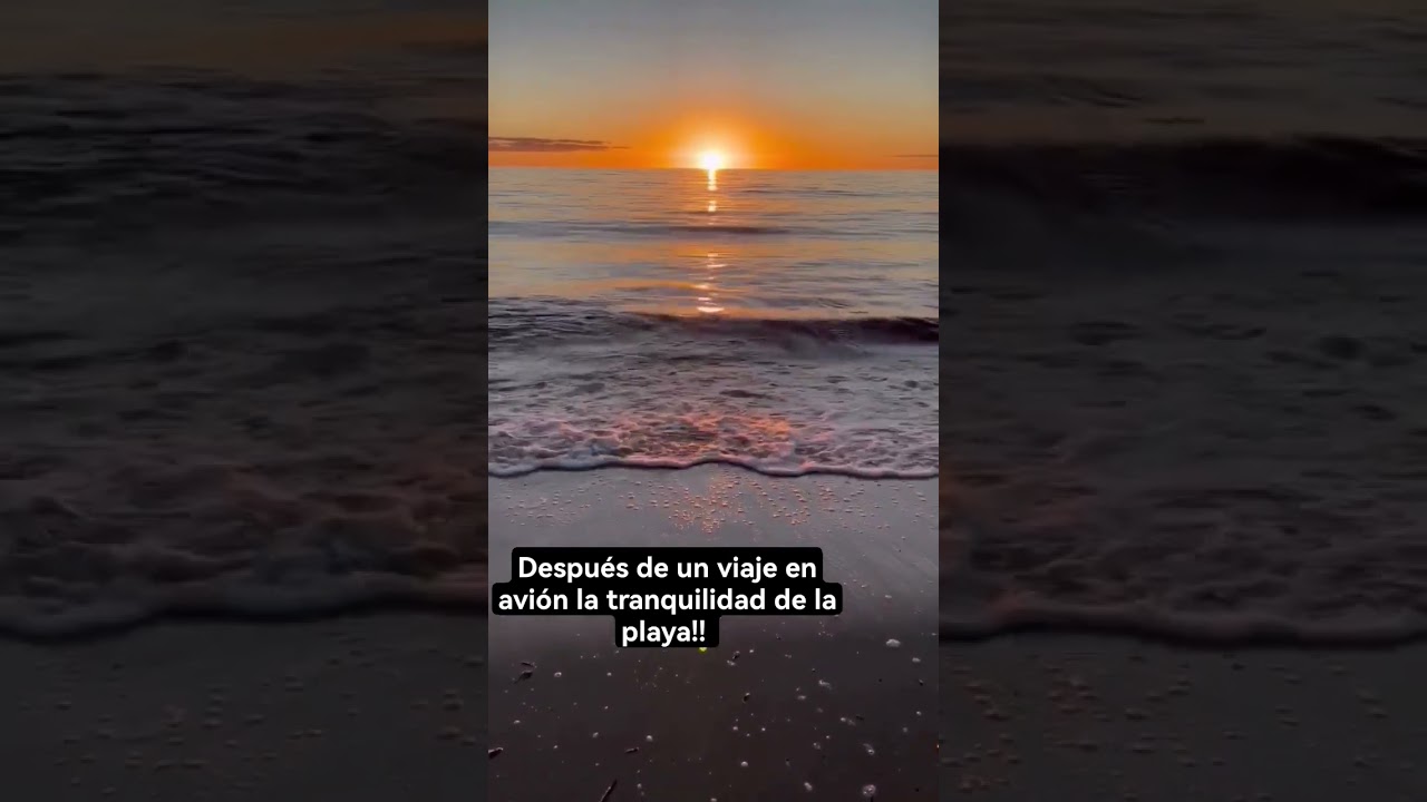 la playa una experiencia de tranquilidad y libertad
