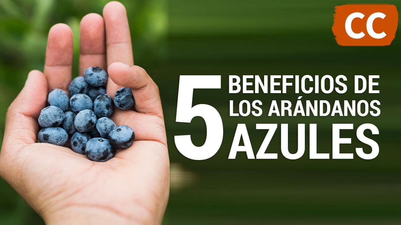 los beneficios de la blueberry