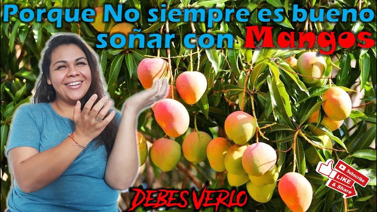 mangos maduros una dulce revelacion en tus suenos