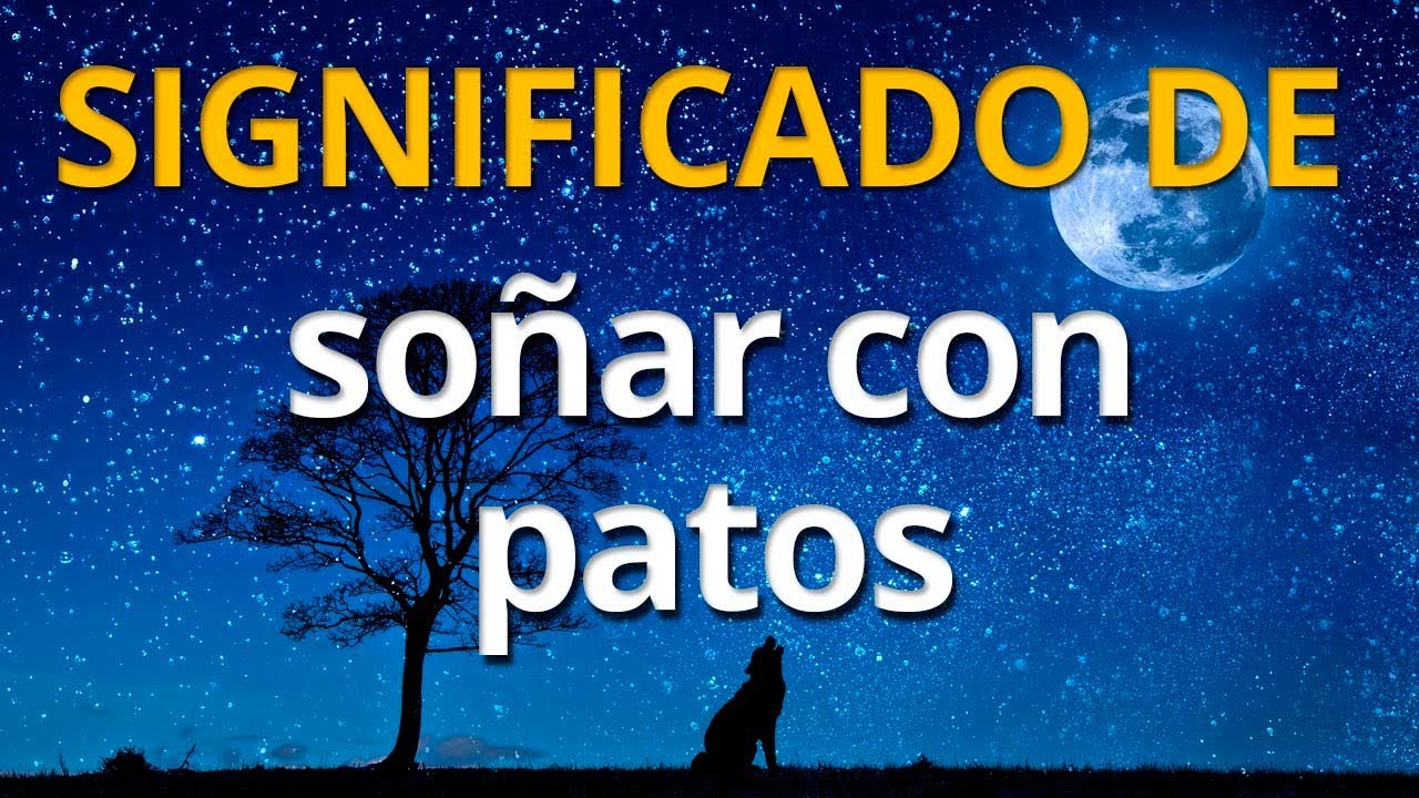 patos que significa este sueno