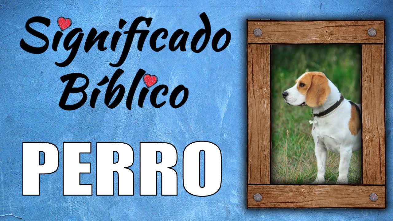 perros segun la biblia significado y simbolismo