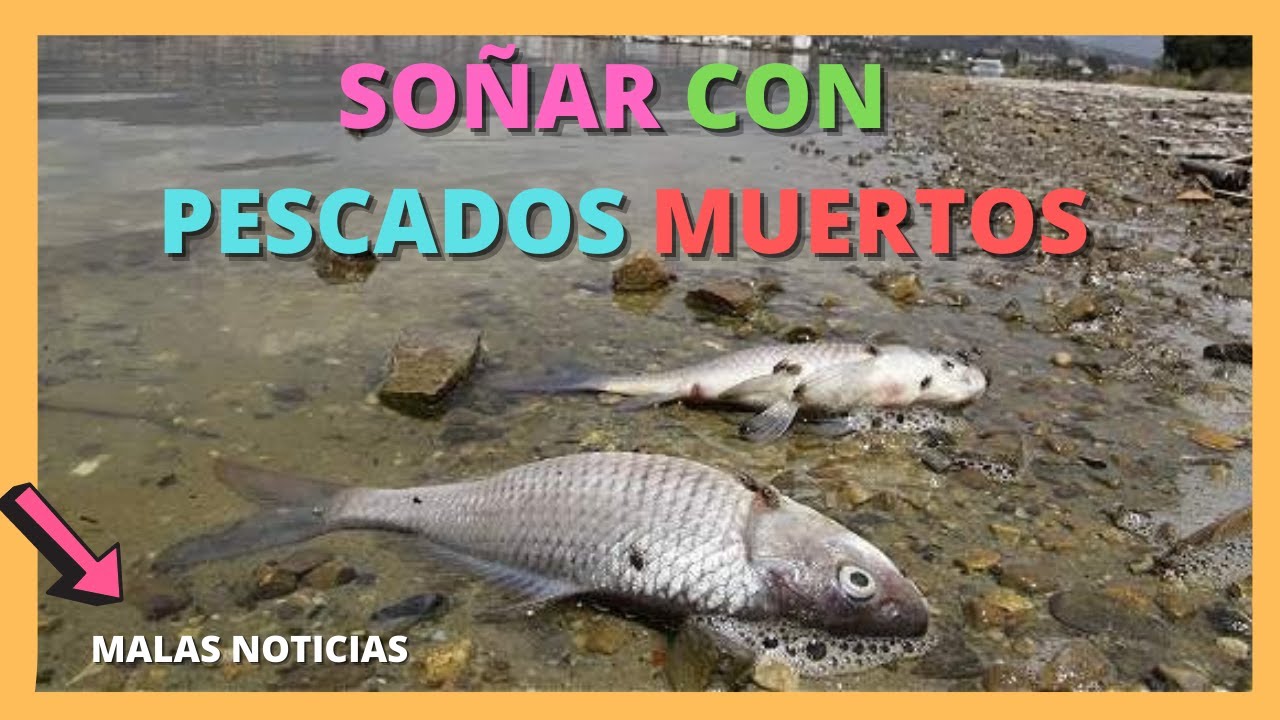 pescados muertos para comer que significa este sueno