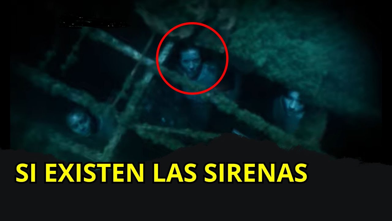 sirenas en el mar un encuentro magico y misterioso