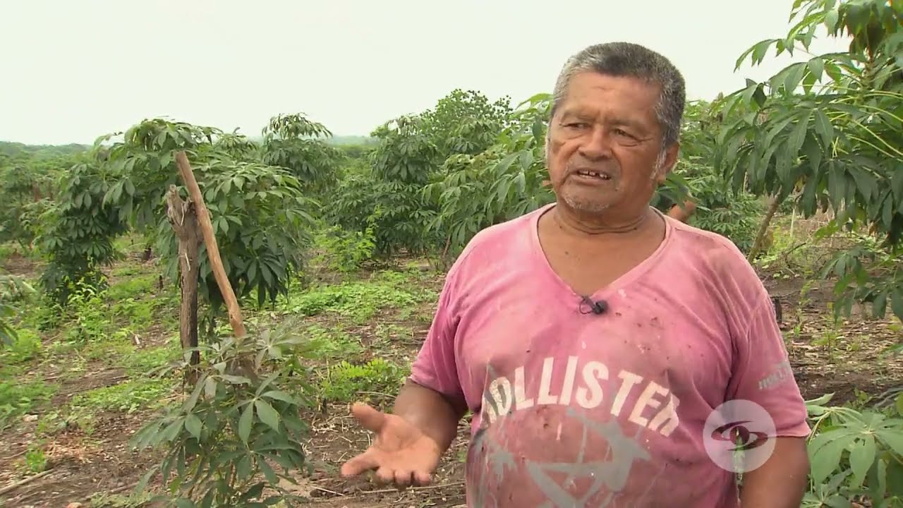 tener yuca en la mano