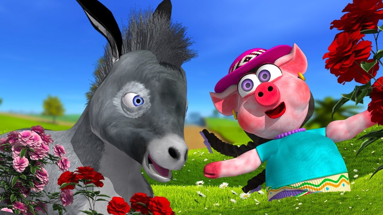 un burro gris