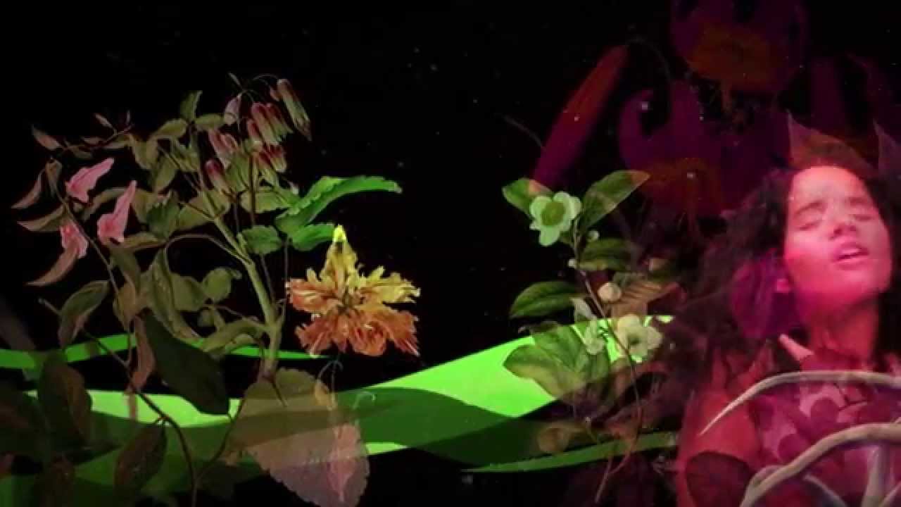 un jardin de flores amarillas