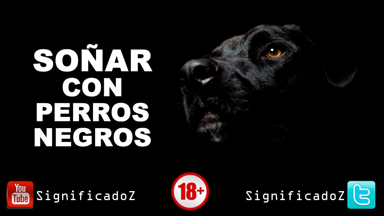 un perro negro que significa este sueno