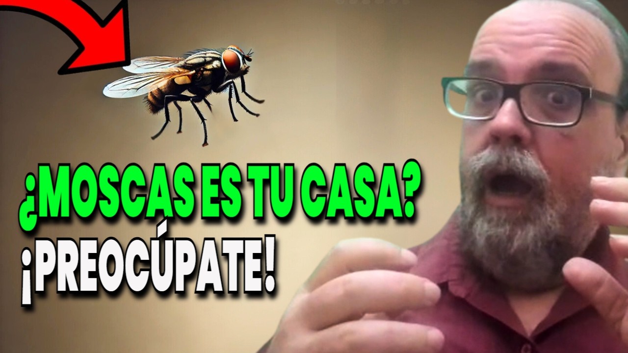 una casa llena de significado