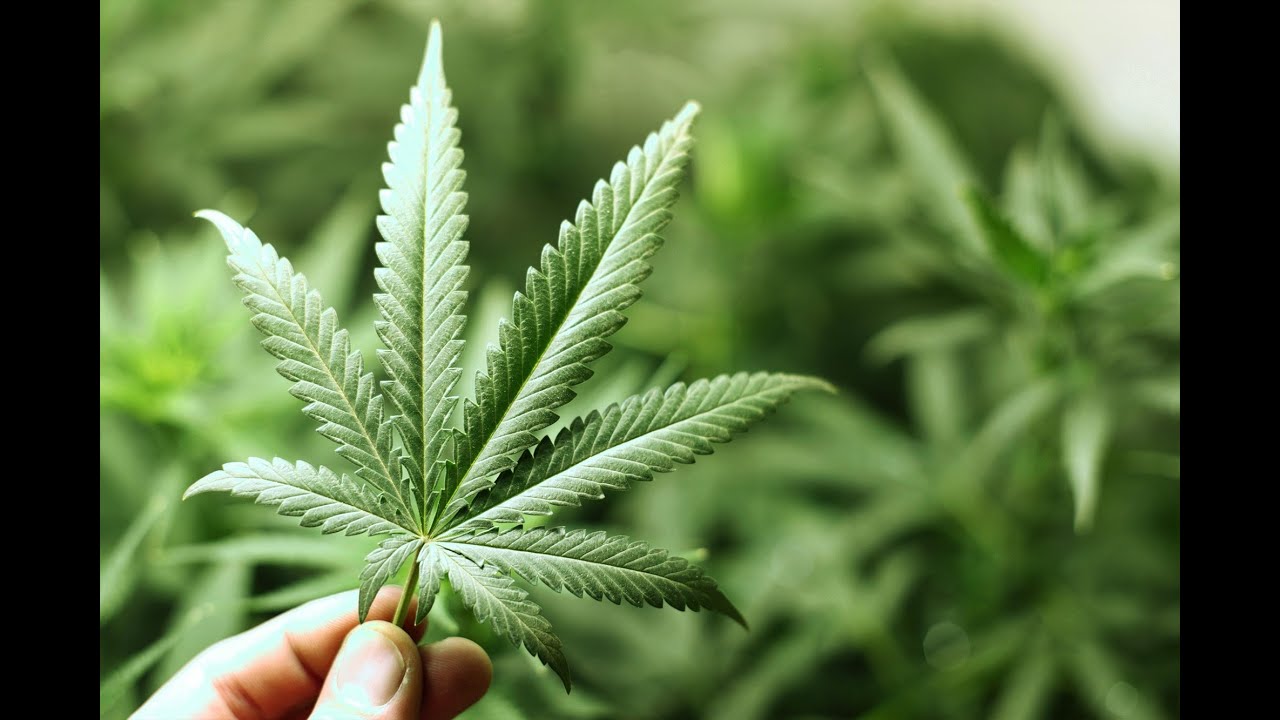 una droga escondida que significa este sueno