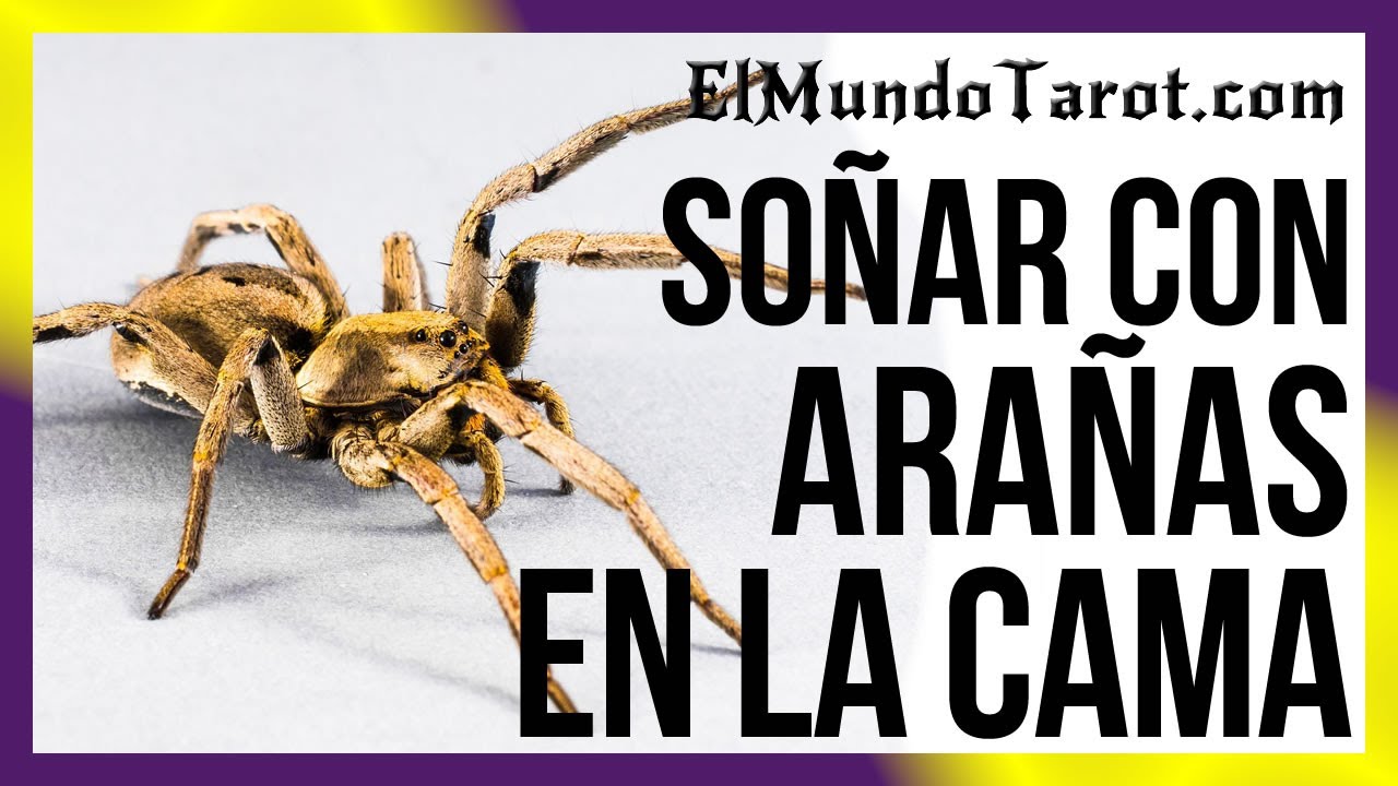 aranas bajo la cama que significado tiene este sueno