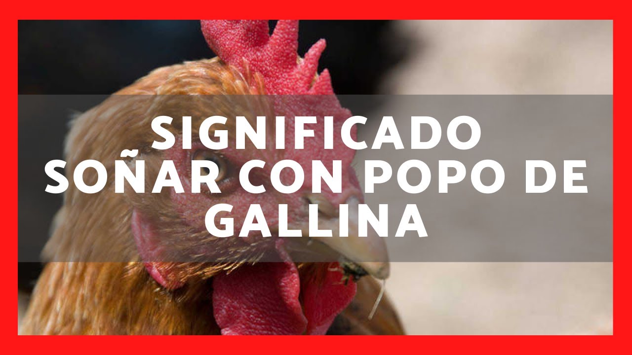 caca de gallina que significa este curioso sueno