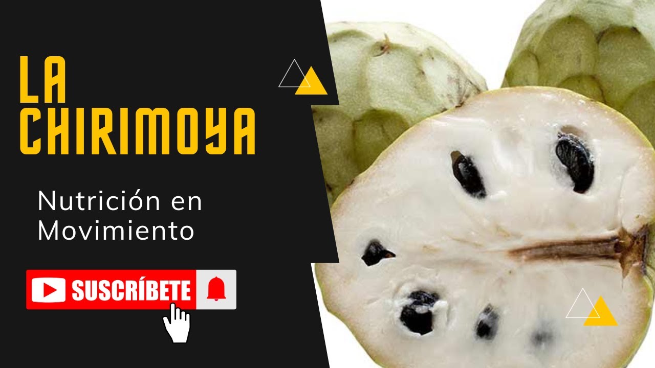 chirimoya un sueno dulce y exotico