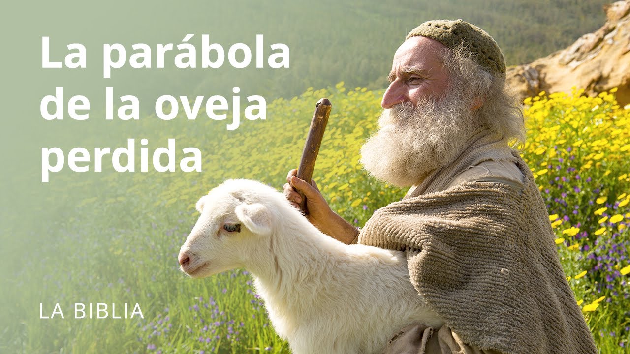 el reencuentro de ovejas perdidas