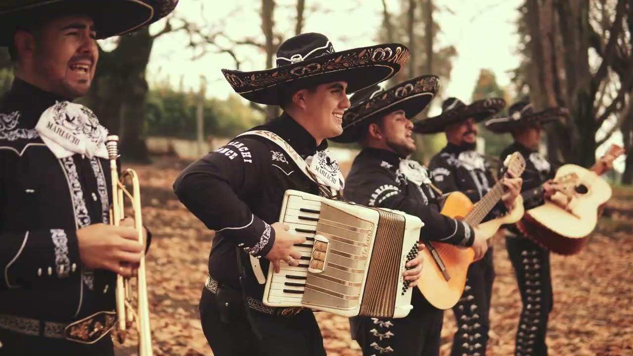 festejar mi cumpleanos una celebracion de alegria y sorpresas