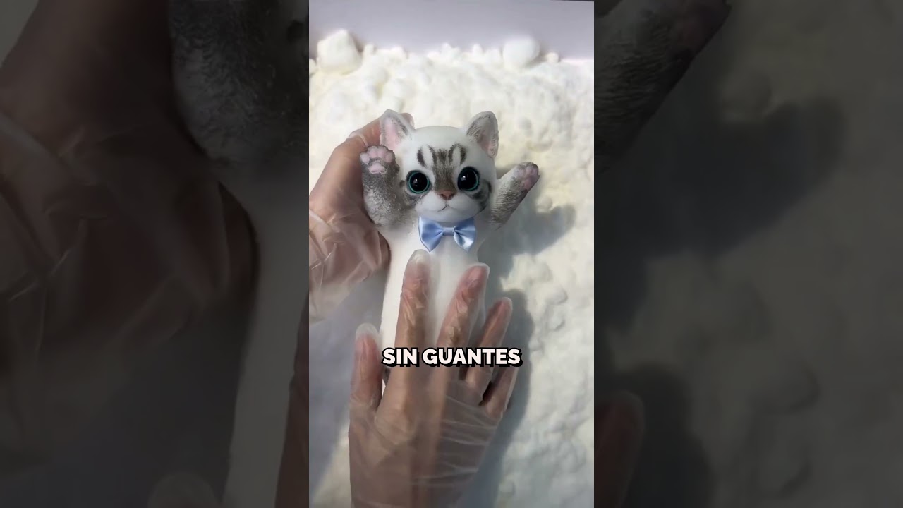 gatitos bebes una experiencia tierna y juguetona