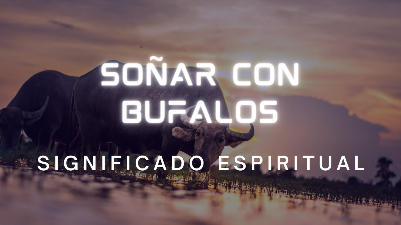 manadas de bufalos que significa este sueno