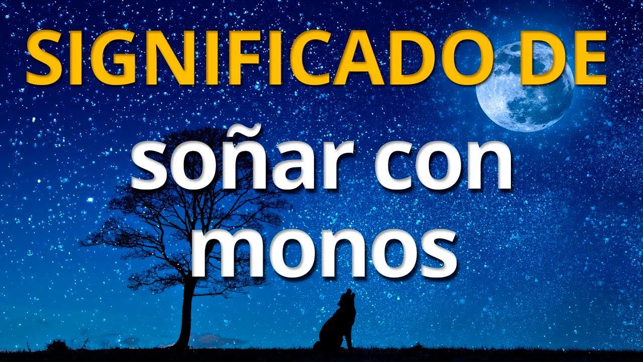 monos descubre el significado de tus suenos con estos animales curiosos