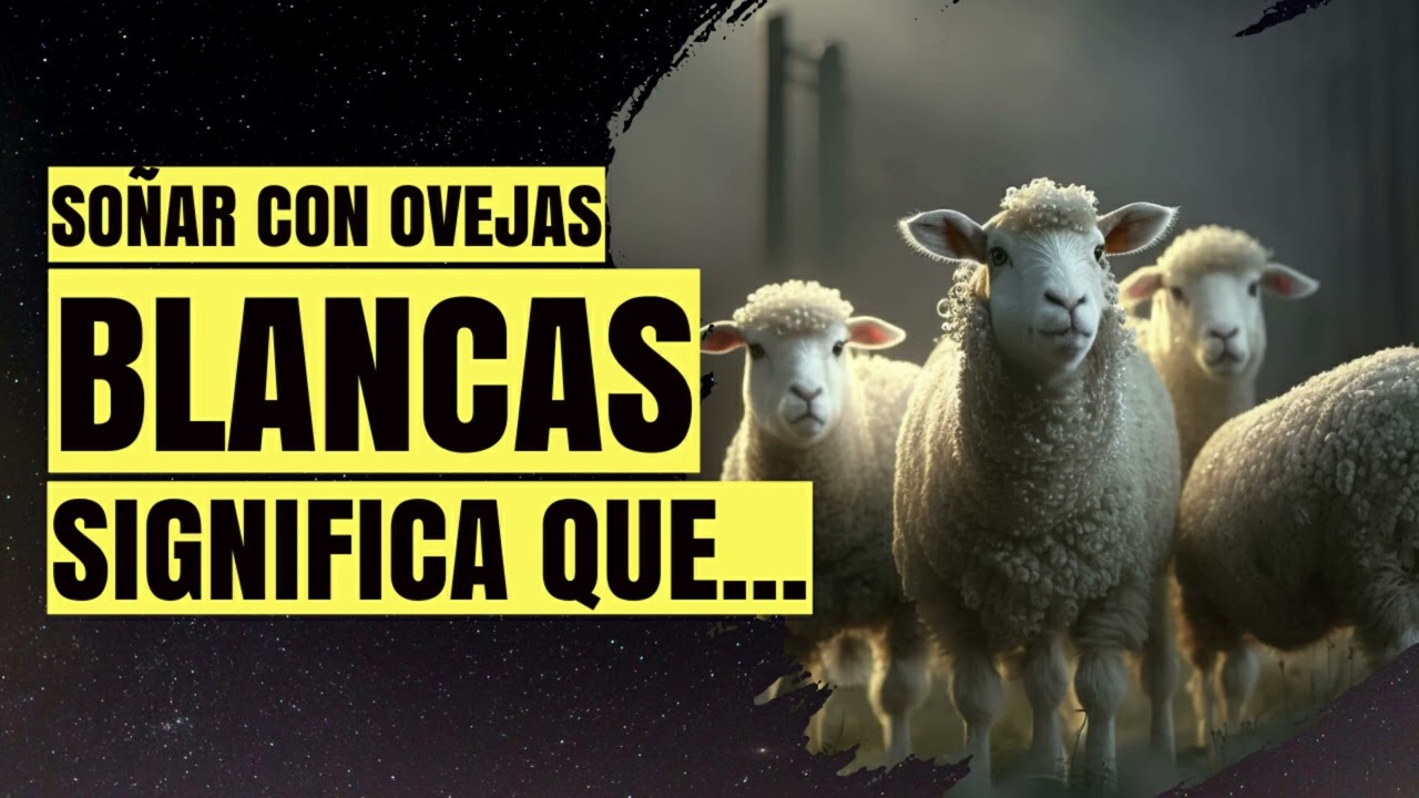 ovejas blancas muertas que significa este inquietante sueno