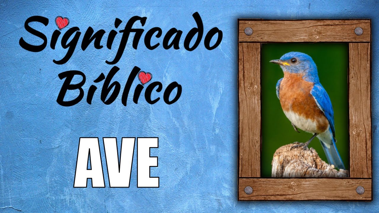 pajaros segun la biblia significado y simbolismo
