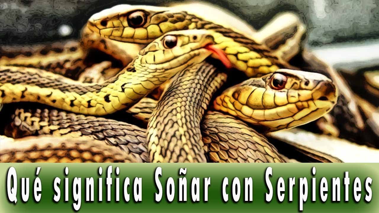 serpientes que significado tiene este sueno 2
