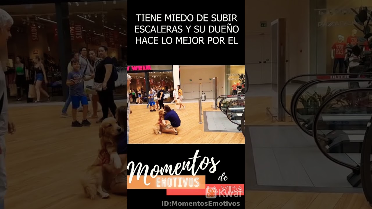subir escaleras con miedo una experiencia angustiante