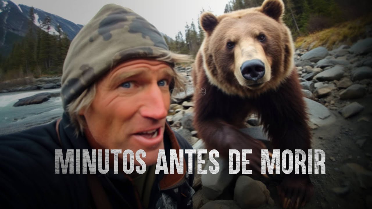 un ataque de oso