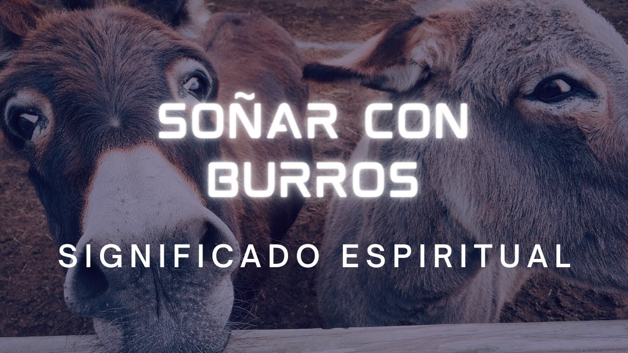 un burro que significa este sueno