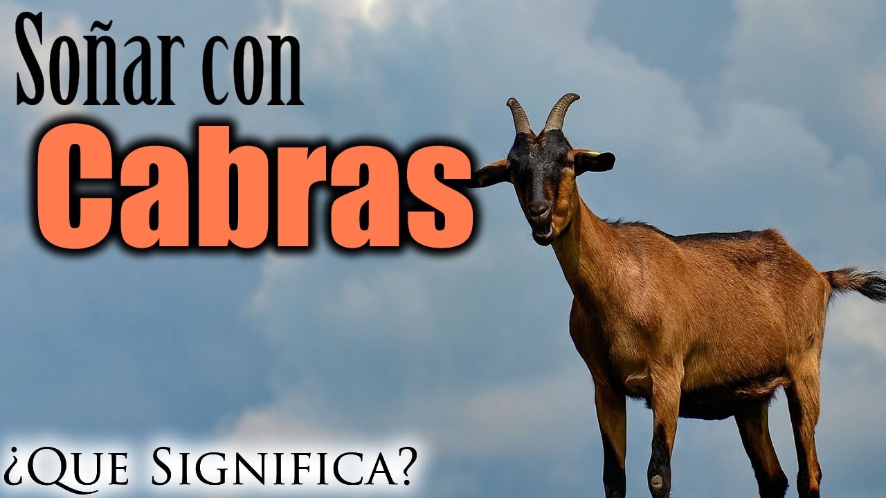 un cabro que significado tiene este sueno