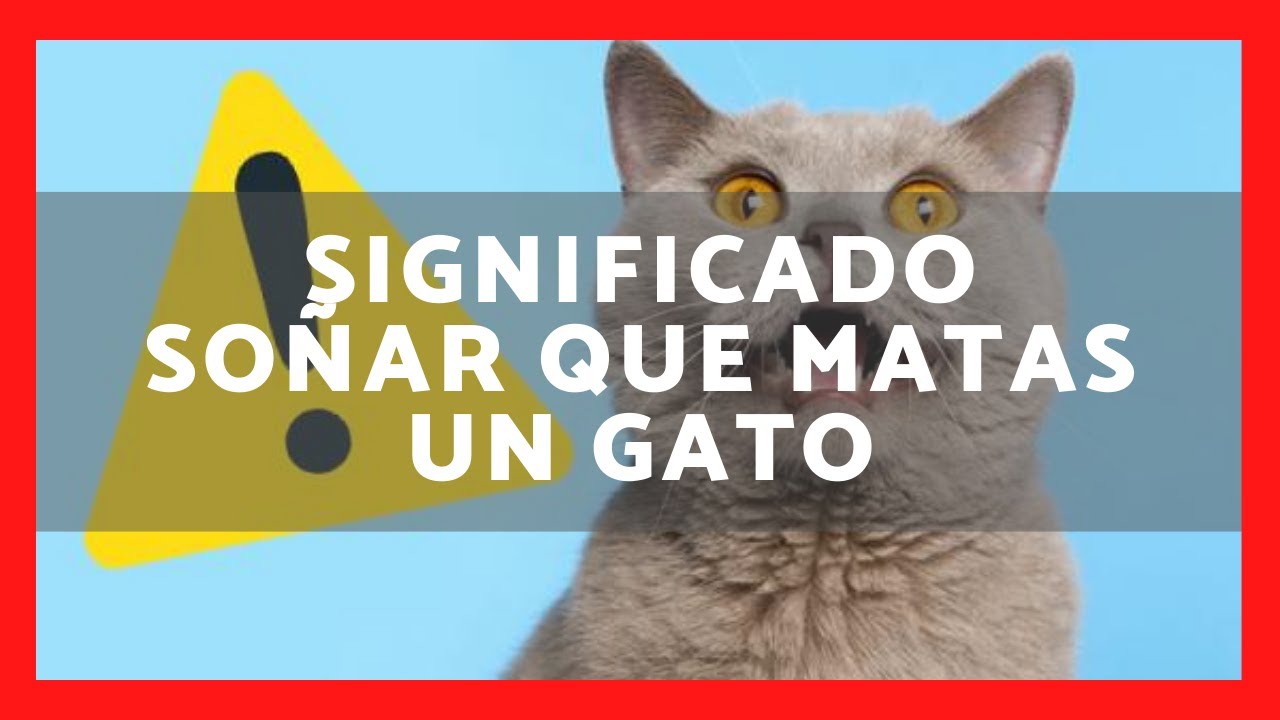 un gato sin cabeza que significa este extrano sueno