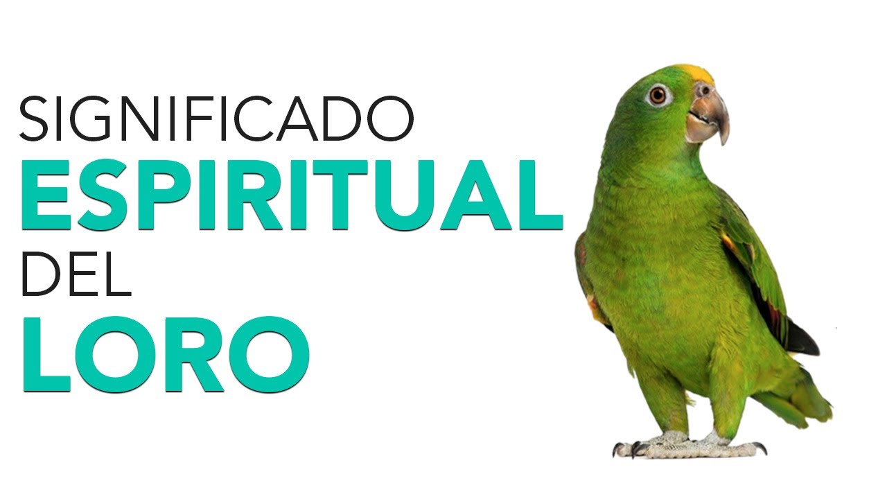 un loro verde en mi mano