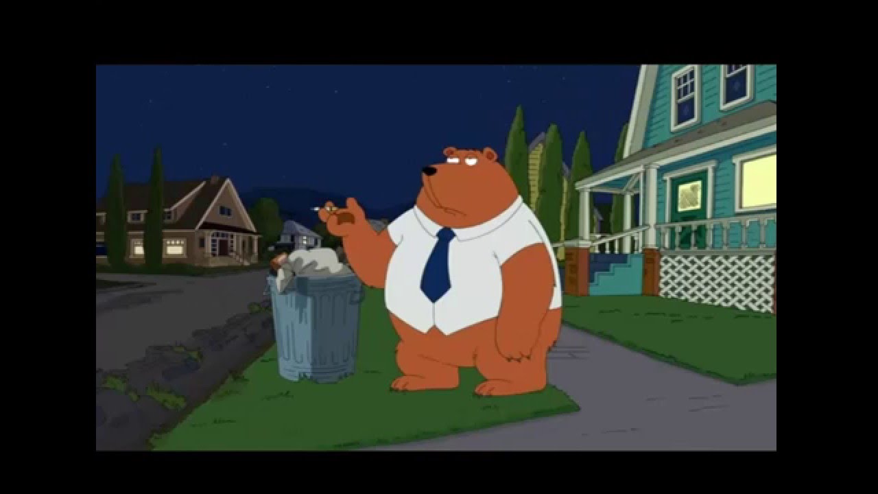 un oso negro