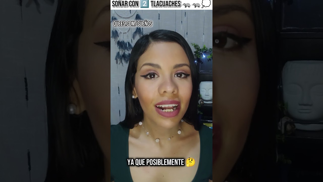 un tlacuache que significa este curioso sueno